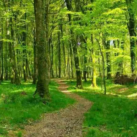 Holiday home Chez Flo Et Manon Balleroy