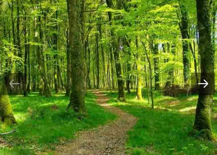 Feriehus Chez Flo Et Manon Balleroy